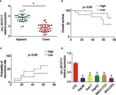 Circular RNA circ_0014717 Suppresses Hepatocellular Carcinoma Tumorigenesis Through Regulating miR-668-3p/BTG2 Axis